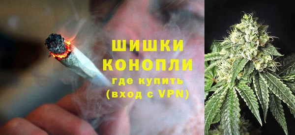 марки lsd Новозыбков
