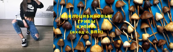 ГАЛЛЮЦИНОГЕННЫЕ ГРИБЫ Новокубанск