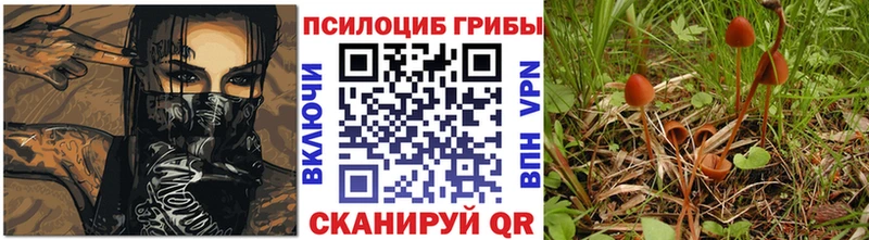 Псилоцибиновые грибы Psilocybe  Бежецк 